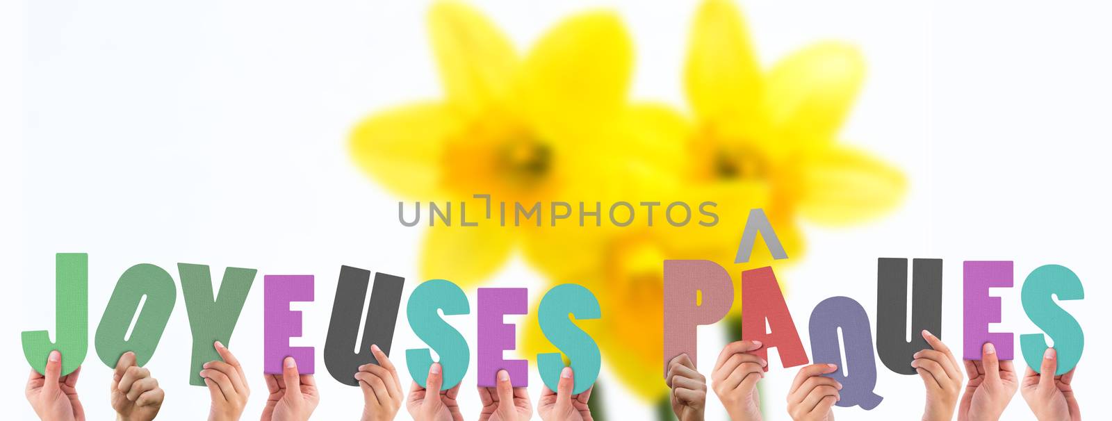 Hands holding up joyeuses pasques against pretty yellow daffodils with copy space