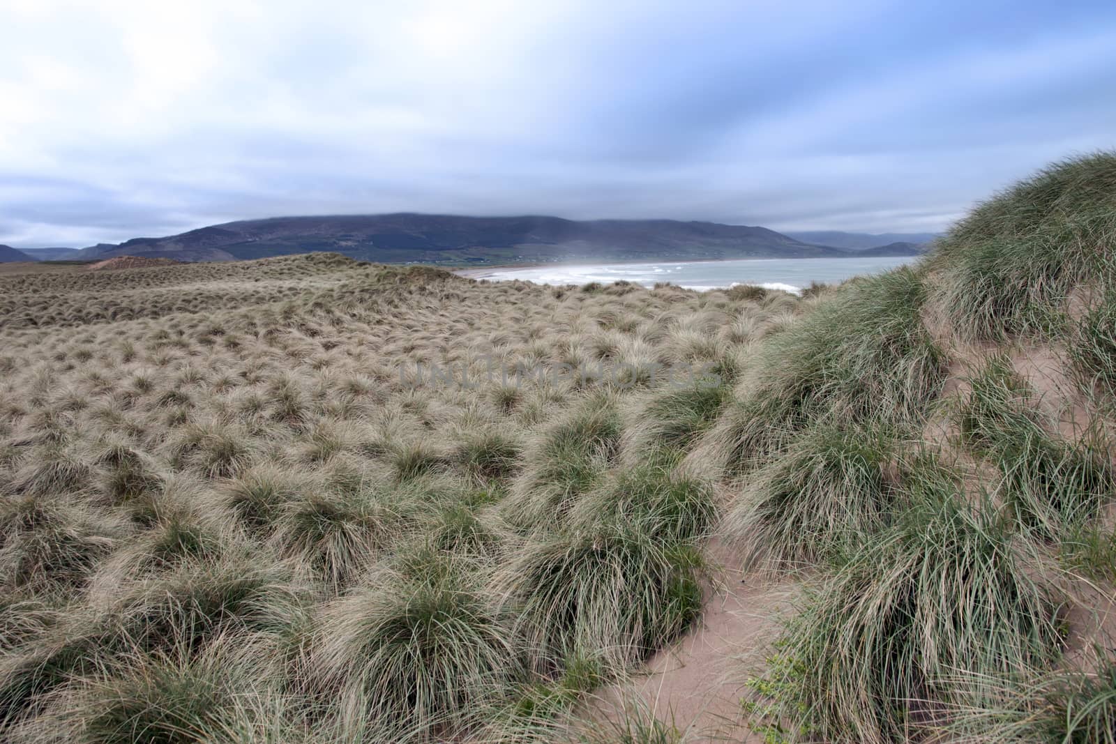 view of dunes at the maharees a beautiful beach in county Kerry Ireland