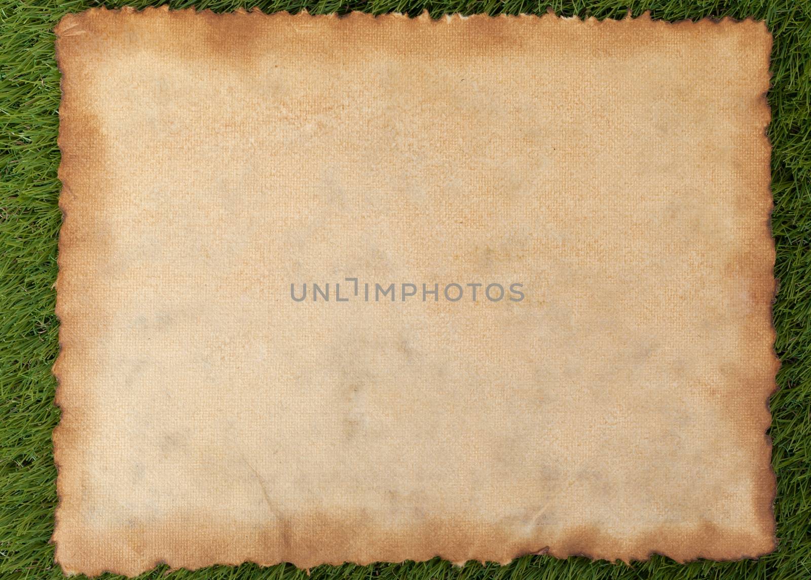 Texture old grunge canvas fabric burn edge on grass background by FrameAngel