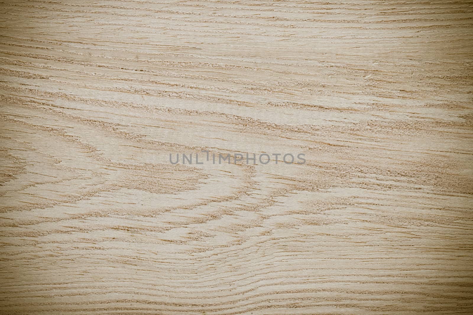 Texture of wood background closeup