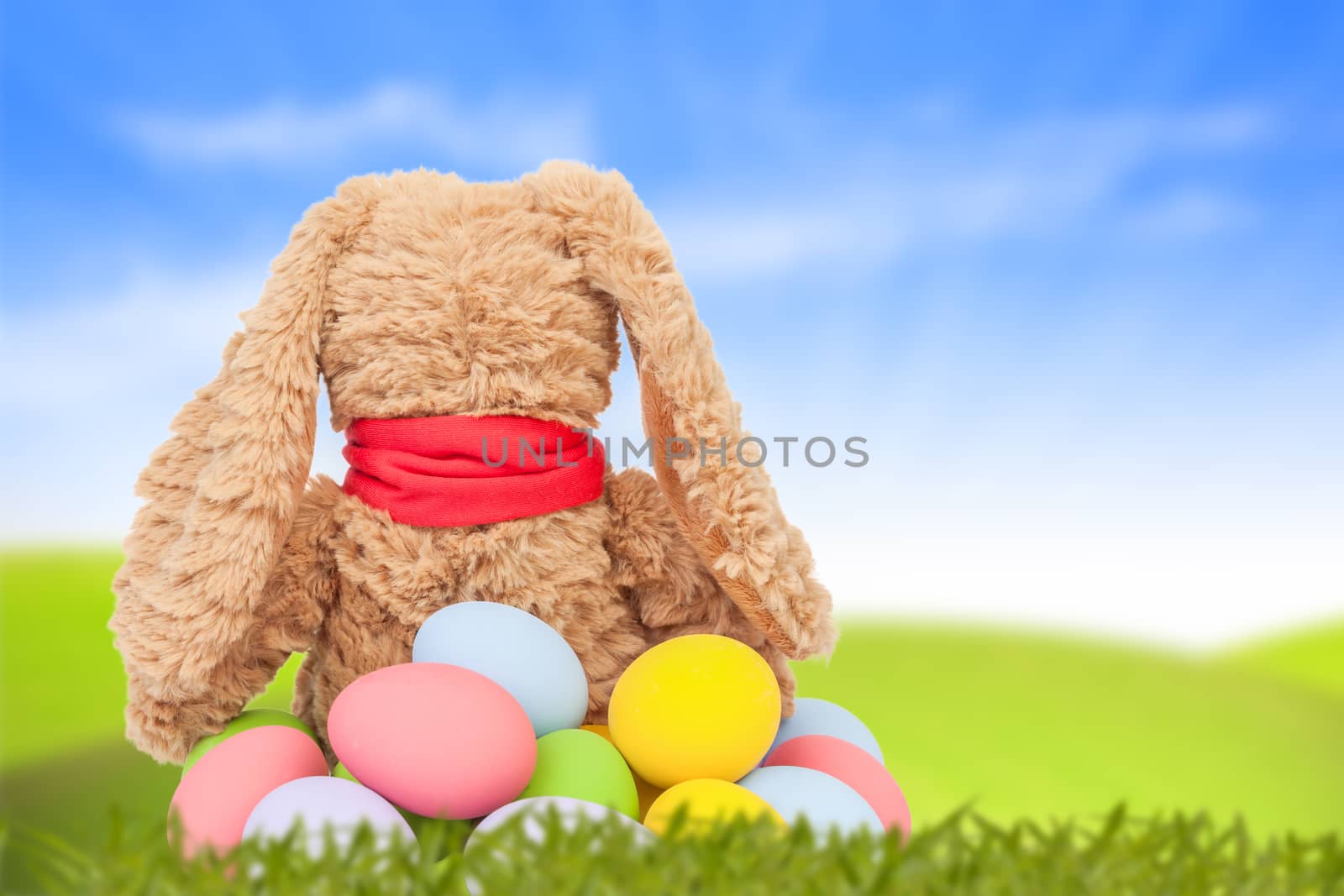 Rabbit, sit on green grass and group of colorful eggs are behind with blue sky background for happy easter festival