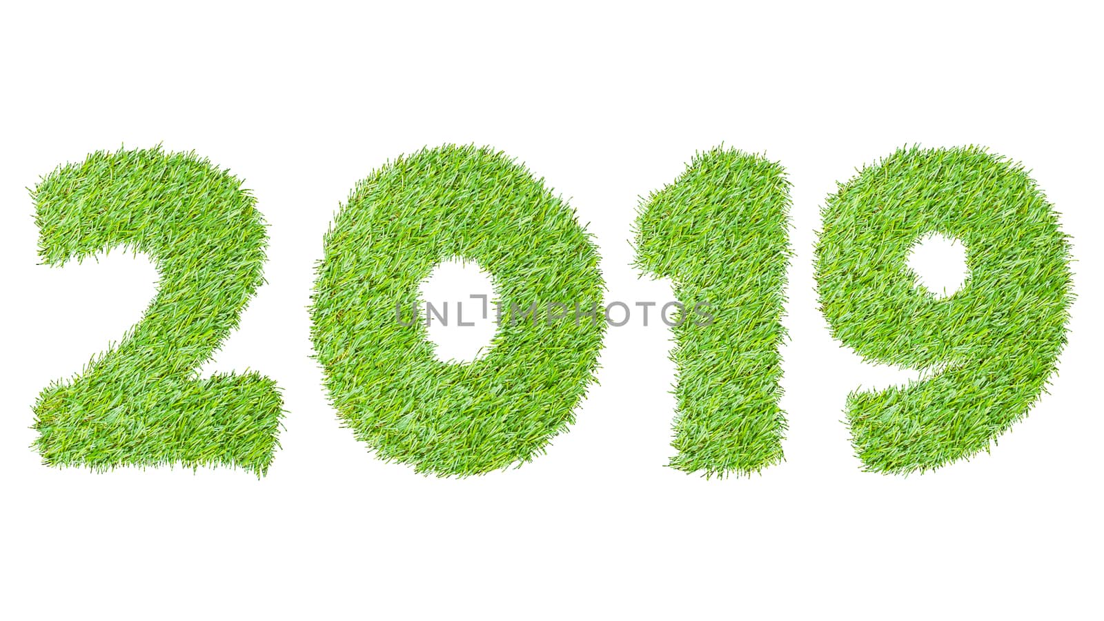 2019, New year made from the green grass, isolated on white can  by FrameAngel