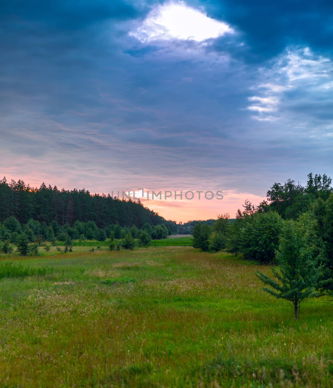Glade green wood and blue sky with clouds. Ukraine