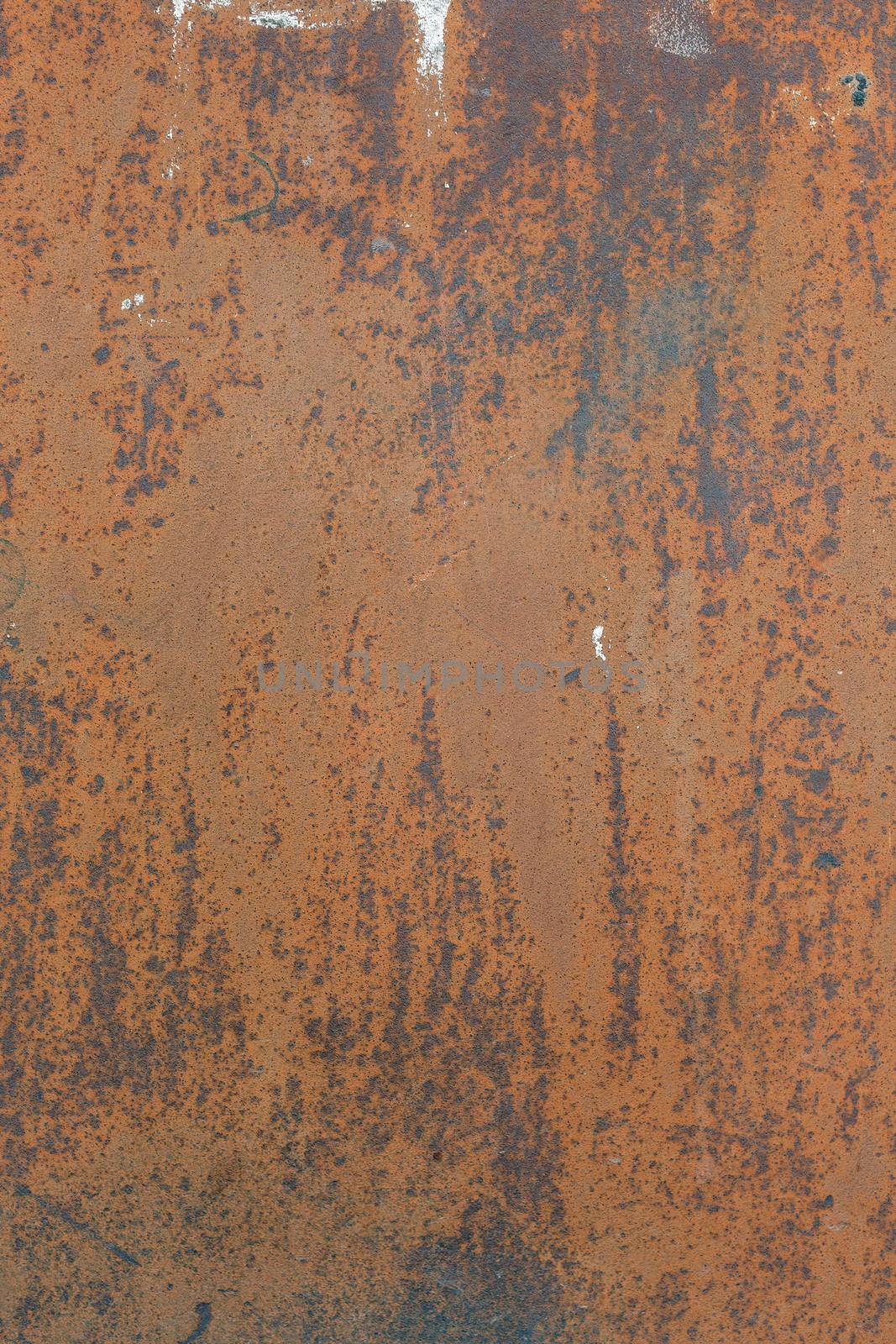 old grunge rusty zinc wall  by anelina
