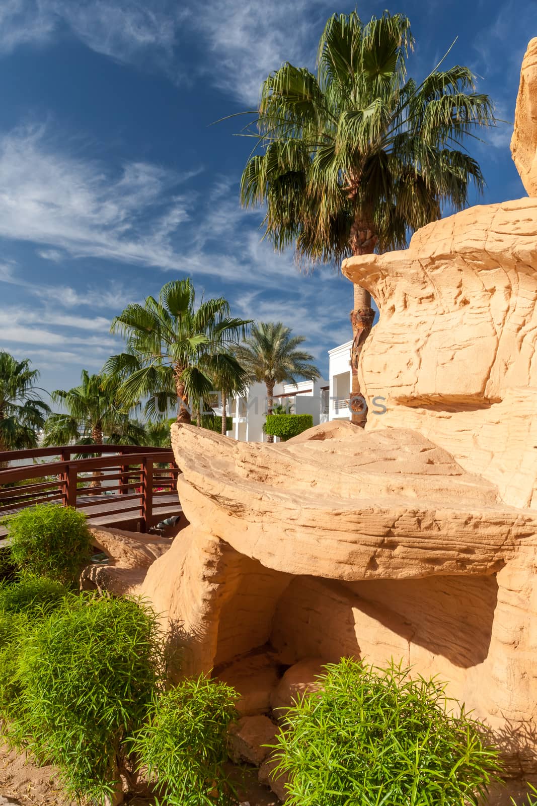 The tropical garden in Sharm el Sheikh, Egypt.