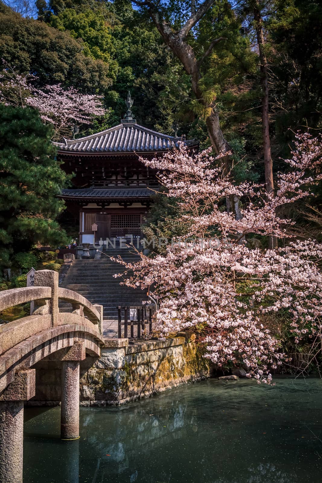 Temple in the forest