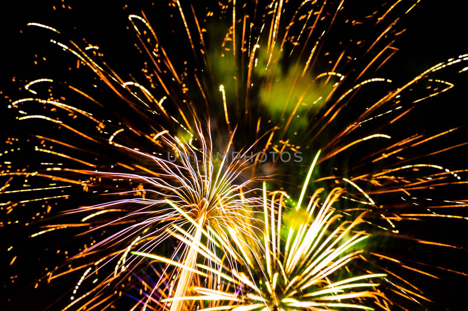 Colorful fireworks on the black sky background