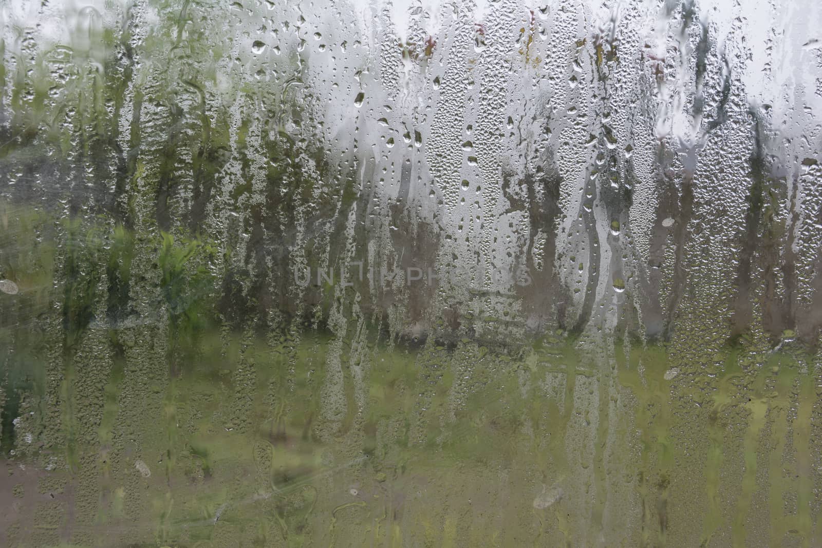 Frosted glass font of the garden.