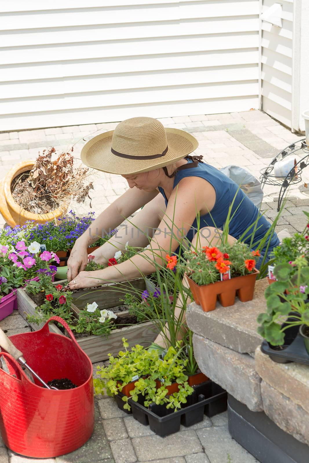 Attractive woman potting up nursery seedlings into decorative arrangements in flowerpots to enhance her home and patio on a hot spring day