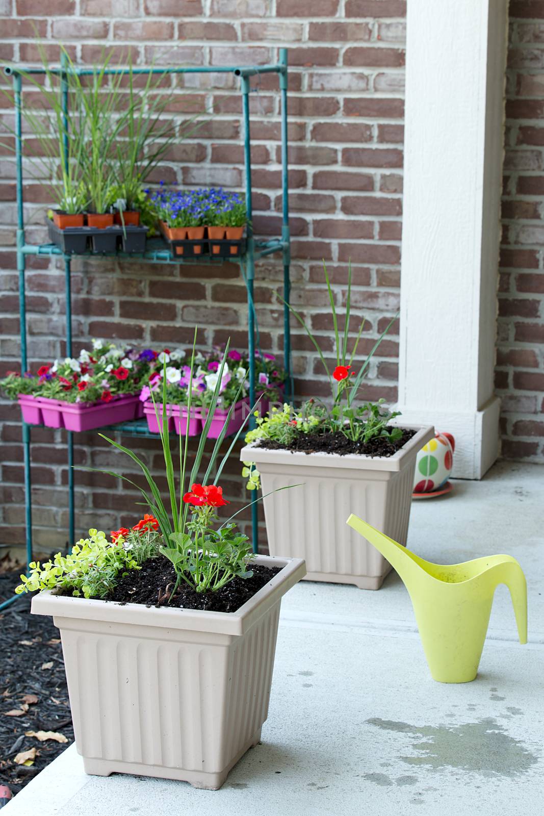 Newly planted spring flowers in flowerpots by coskun