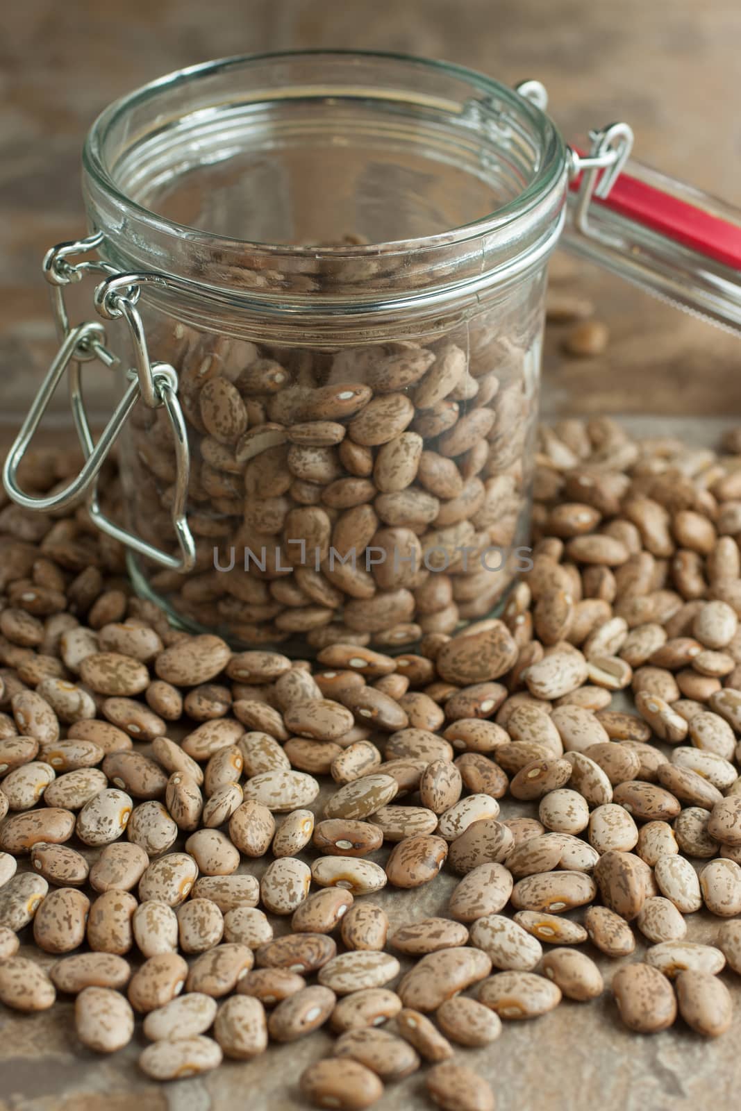 Pinto Beans in a jar by SouthernLightStudios