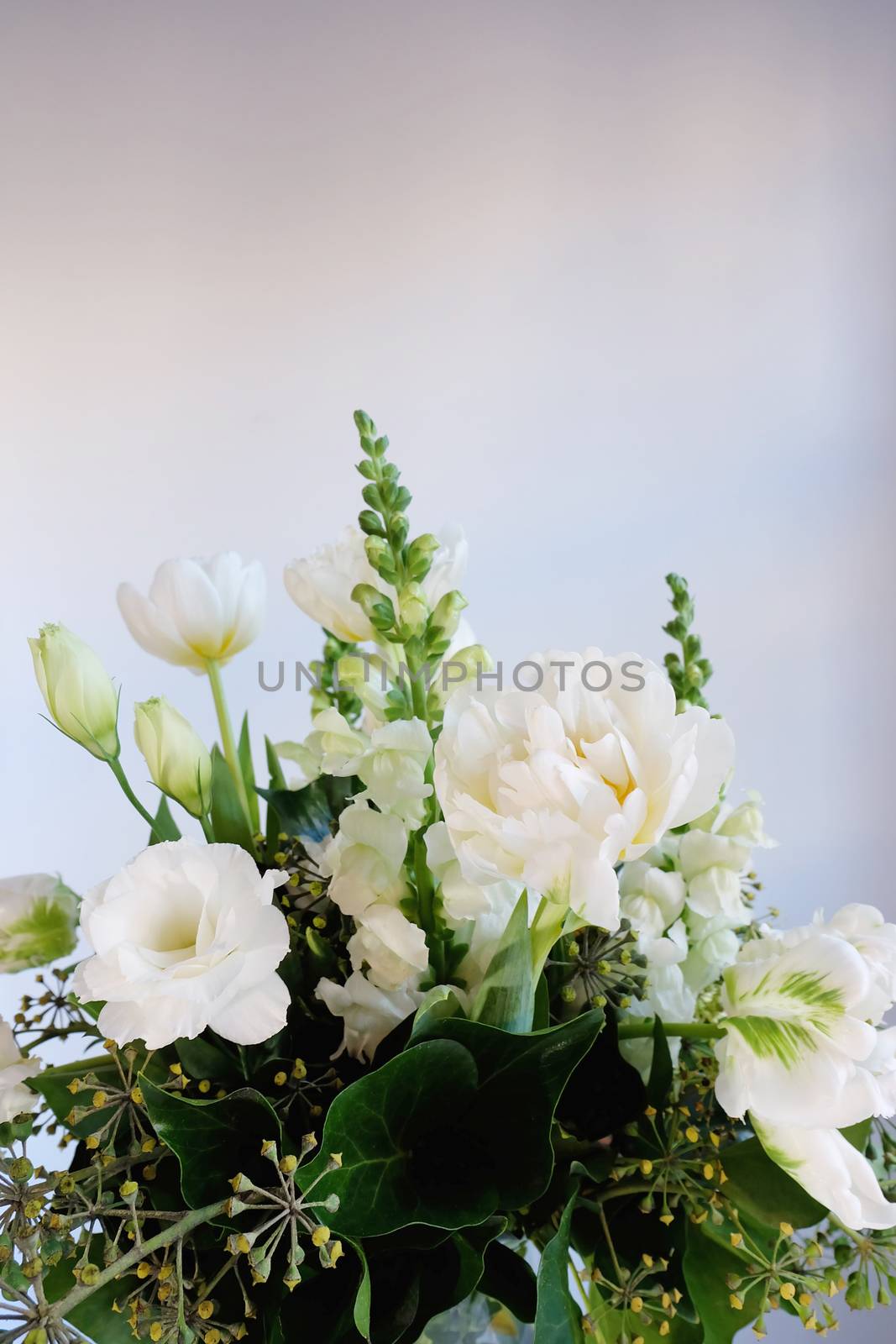 Bouquet of white and green flowers against a white wall 