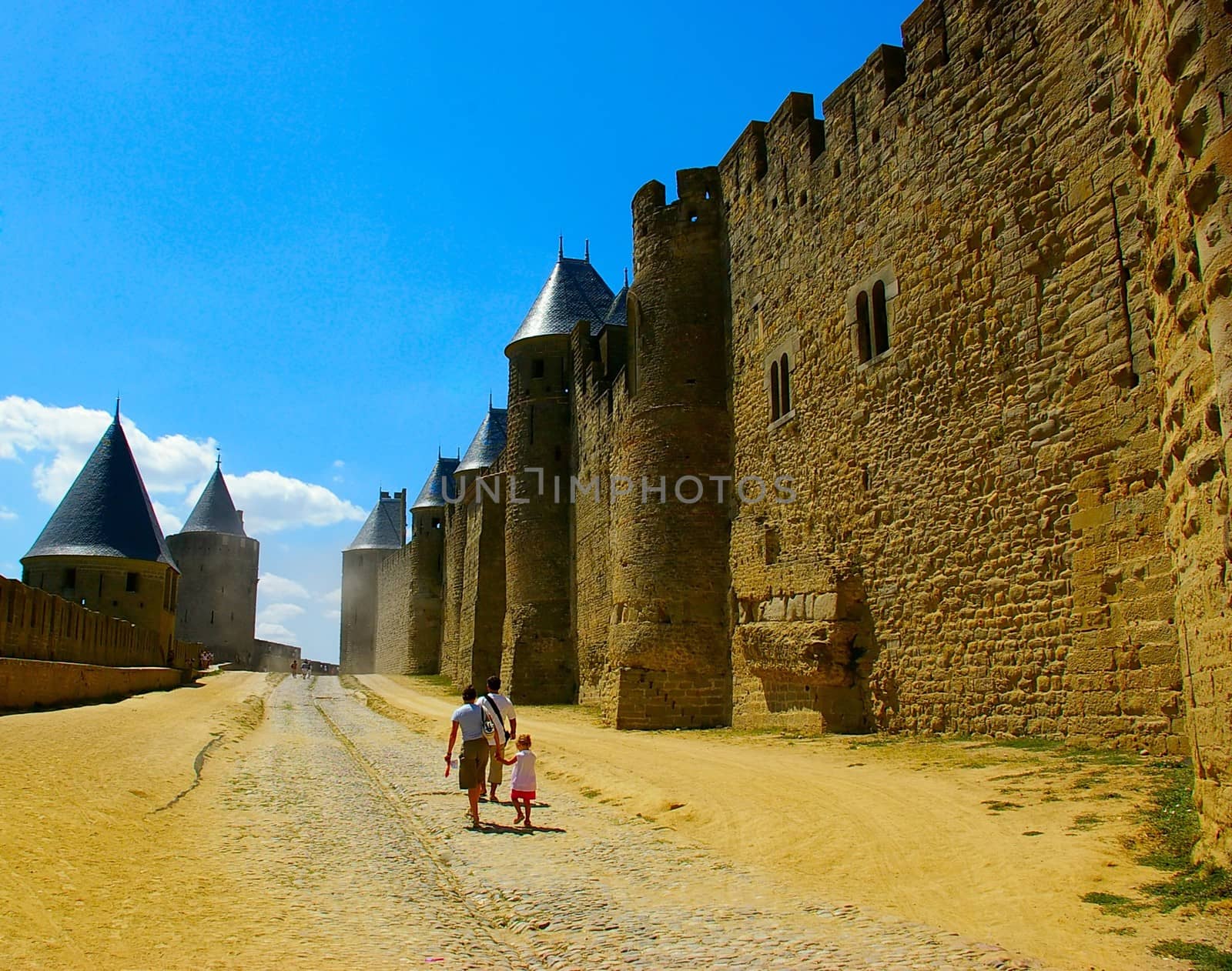 The Beautiful old castle in southern France