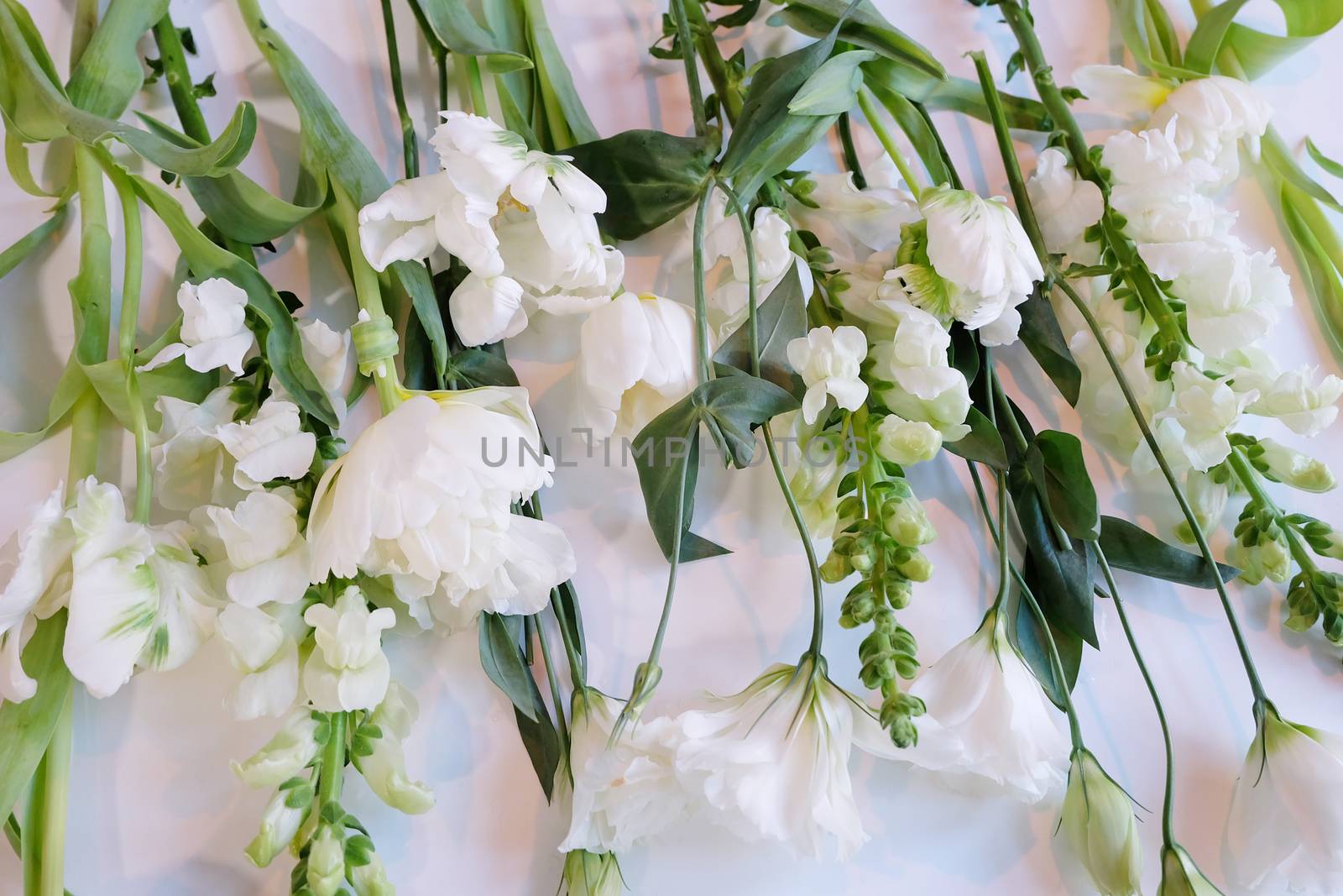Assorment of white and green flowers laid out in a row on a white surface