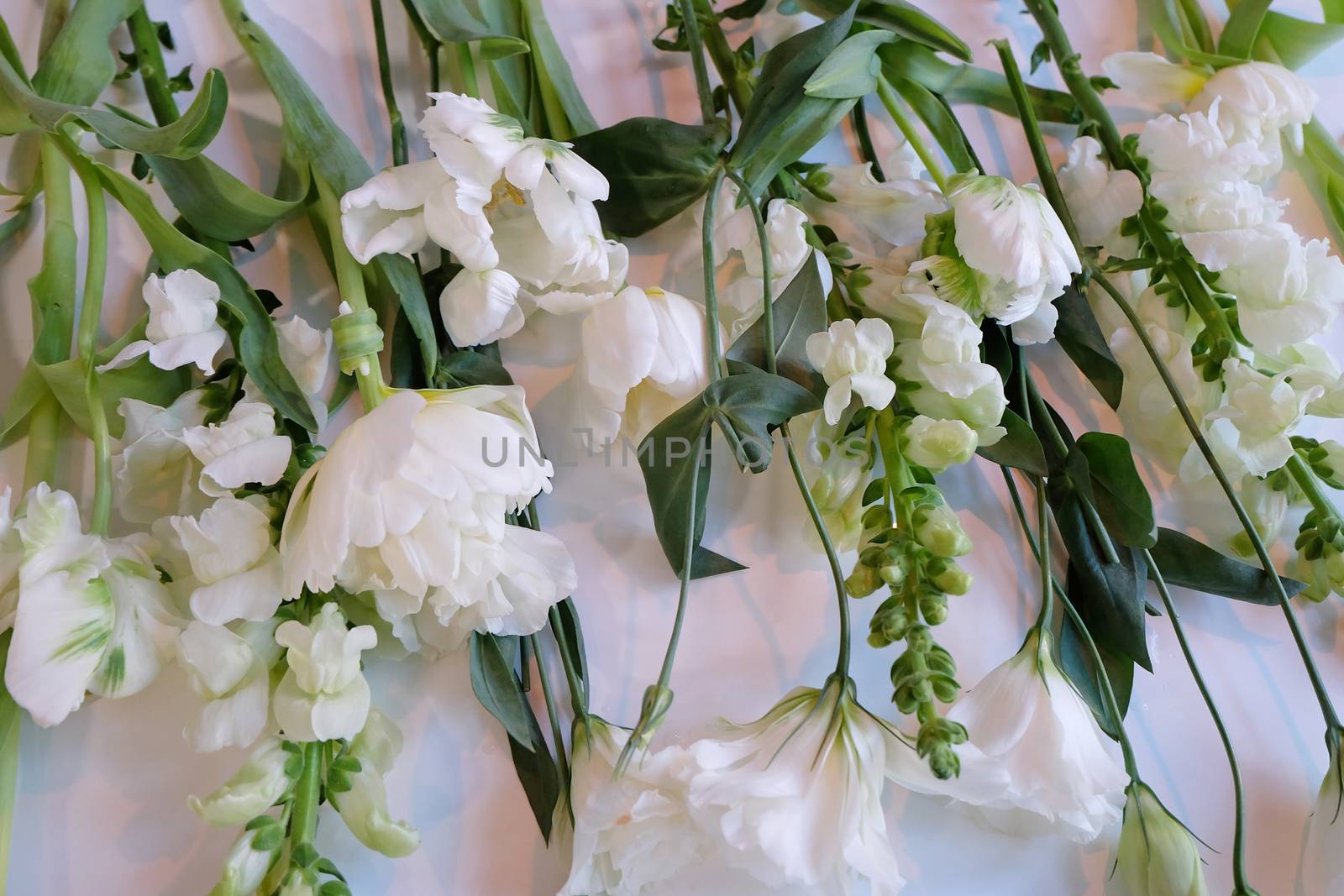 White and Green Row of Flowers by mmm
