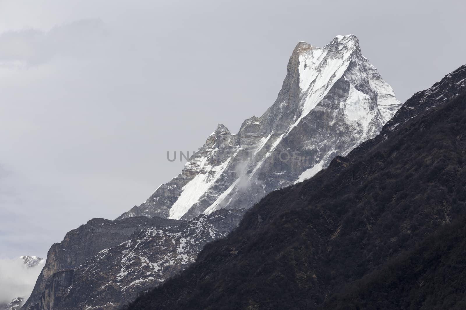 Fish Tail or Mt.Machhapuchhare in Annapurna Trekking Trail in Nepal.