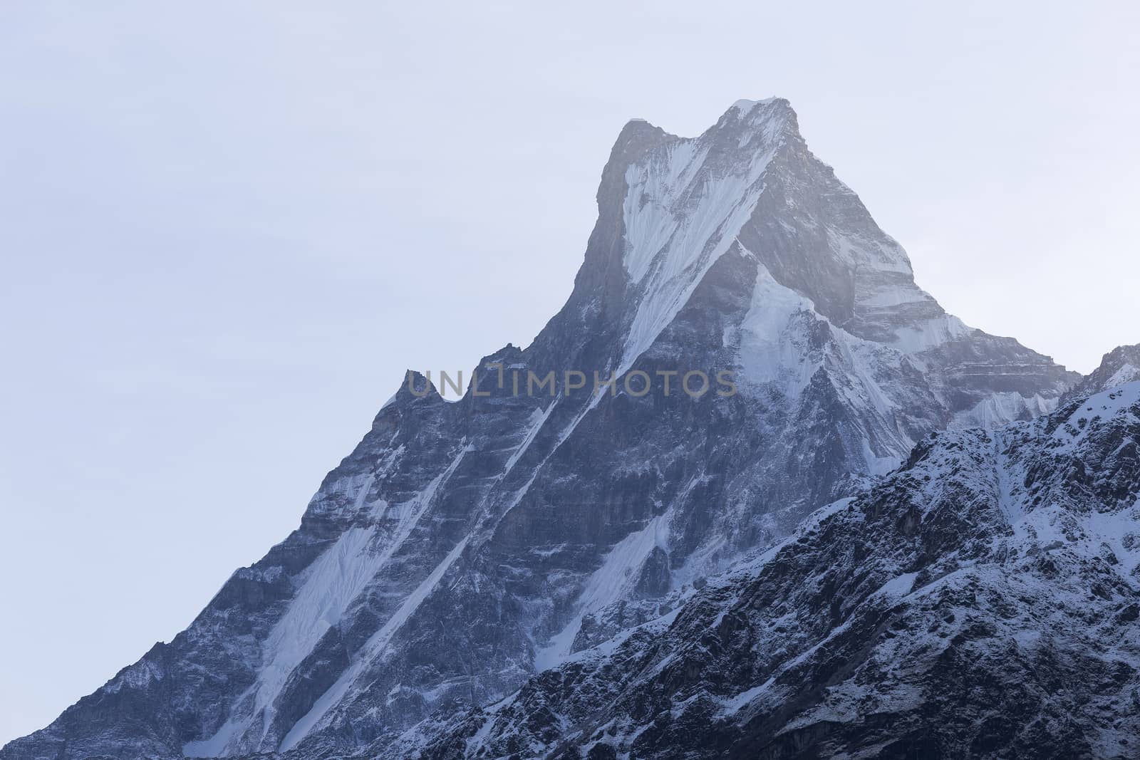 Fish Tail or Mt.Machhapuchhare in Annapurna Trekking Trail in Nepal.