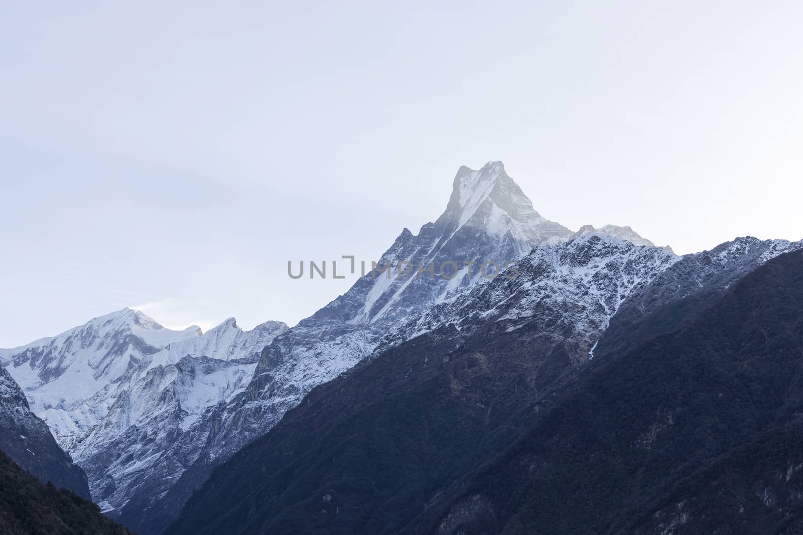 Fish Tail or Mt.Machhapuchhare in Annapurna Trekking Trail in Nepal.