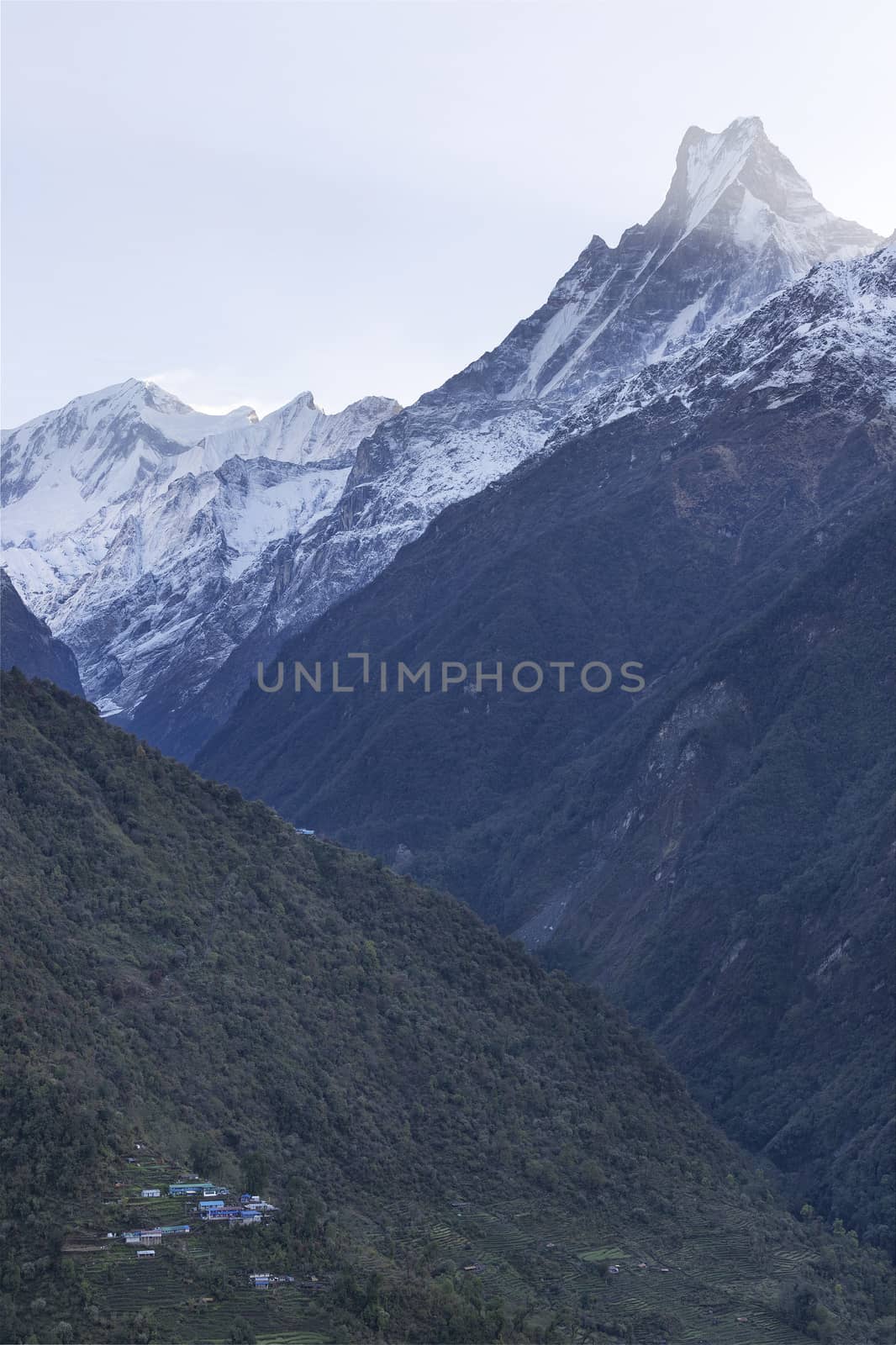 Fish Tail or Mt.Machhapuchhare in Annapurna Trekking Trail in Nepal. Lower is the Sinuwa village which is one of the village in this trail.