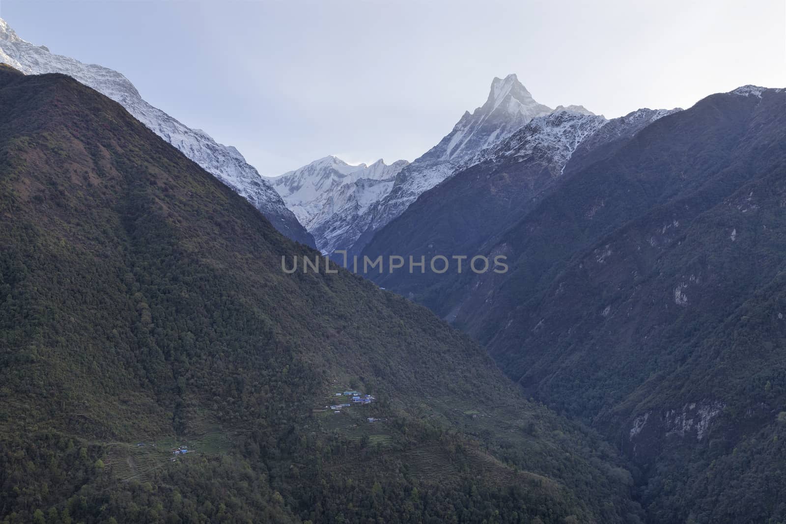 Fish Tail or Mt.Machhapuchhare in Annapurna Trekking Trail in Nepal. Lower is the Sinuwa village which is one of the village in this trail.