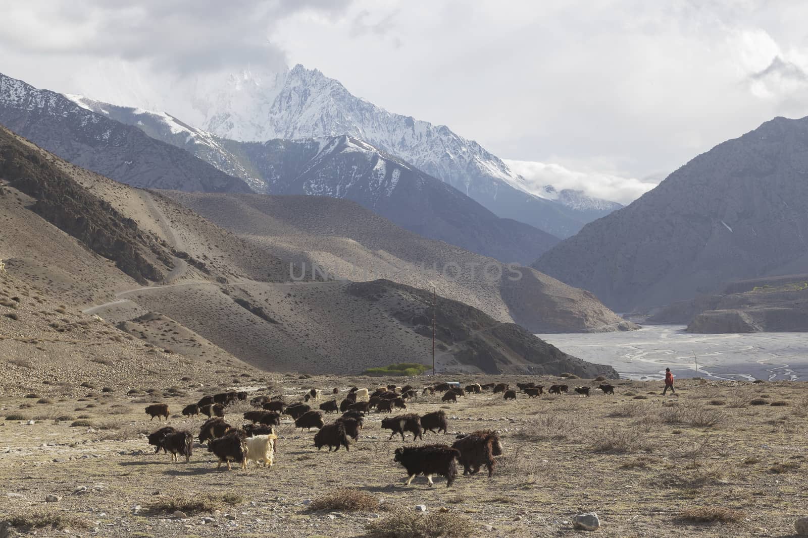 Kagbeni city in lower Mustang district, Nepal. It located in dry area and situated in the junction to upper Mustang.