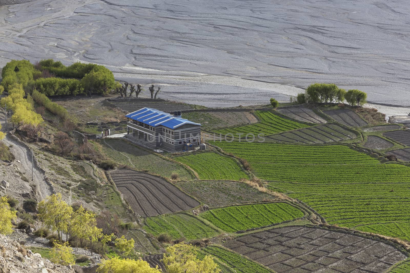 Kagbeni city in lower Mustang district, Nepal. It located in dry area and situated in the junction to upper Mustang.
