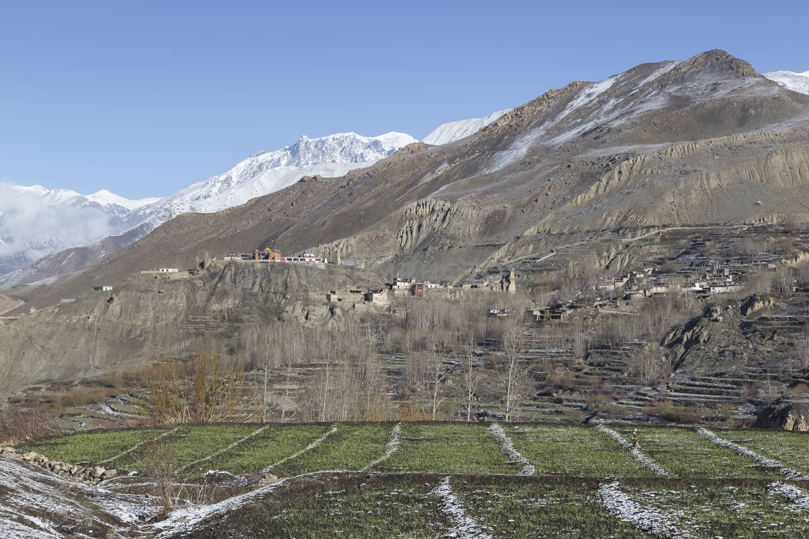 Landscape of Muktinath village in lower Mustang District, Nepal. This photo was shot in early morning.
Area was cover by snow.