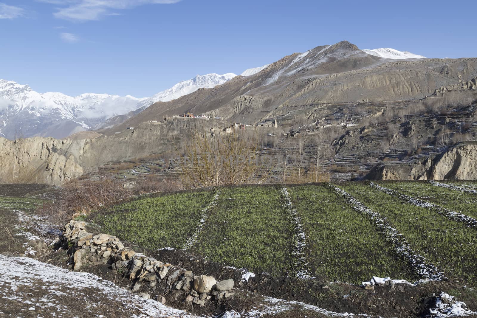 Landscape of Muktinath village in lower Mustang District, Nepal. This photo was shot in early morning.
Area was cover by snow.