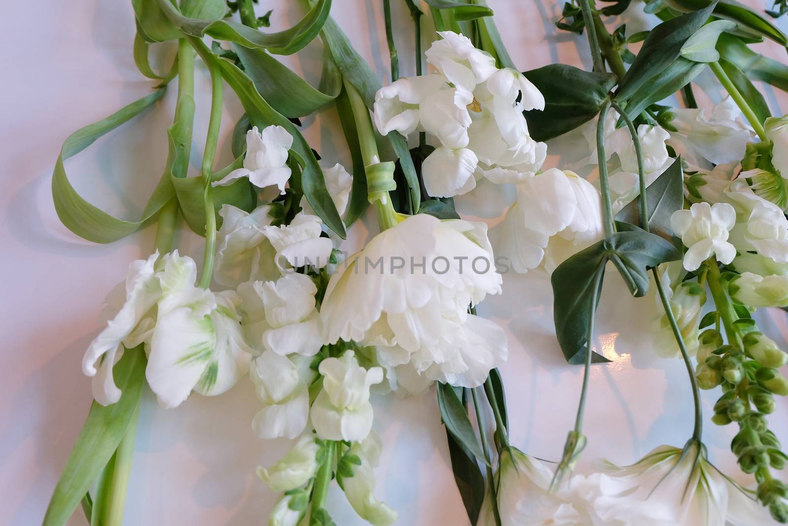 White and Green Flowers by mmm