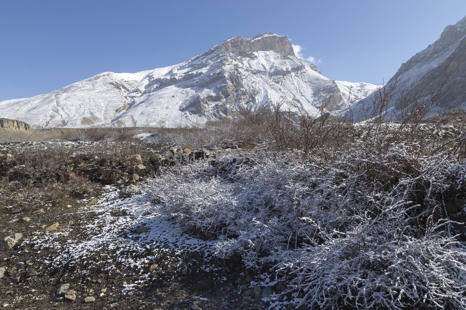 Landscape of Muktinath village in lower Mustang District, Nepal. This photo was shot in early morning.
Area was cover by snow.