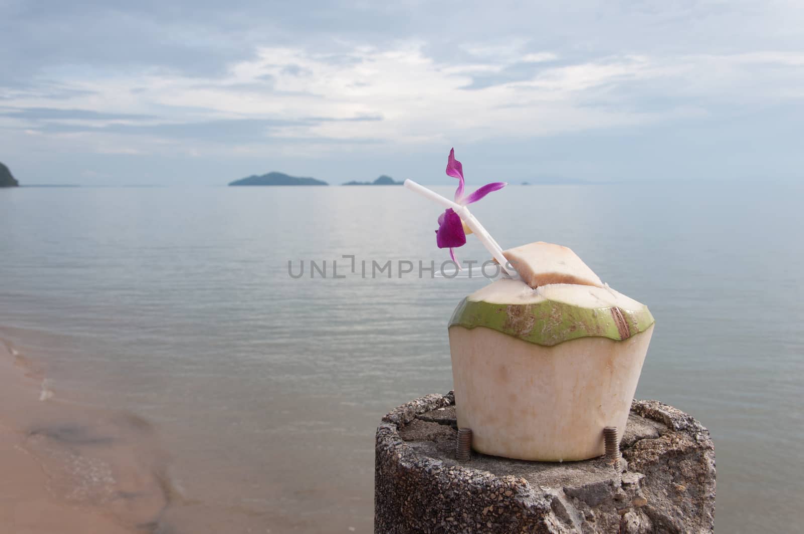 Coconut Juice and sea view background