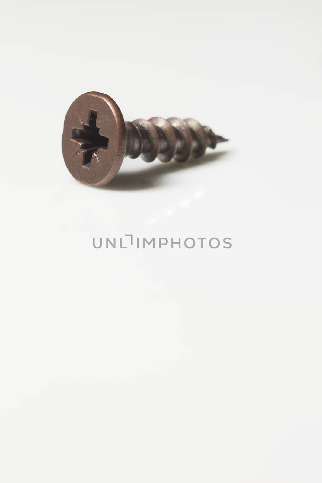 Screw on white background - industrial concept by mailos