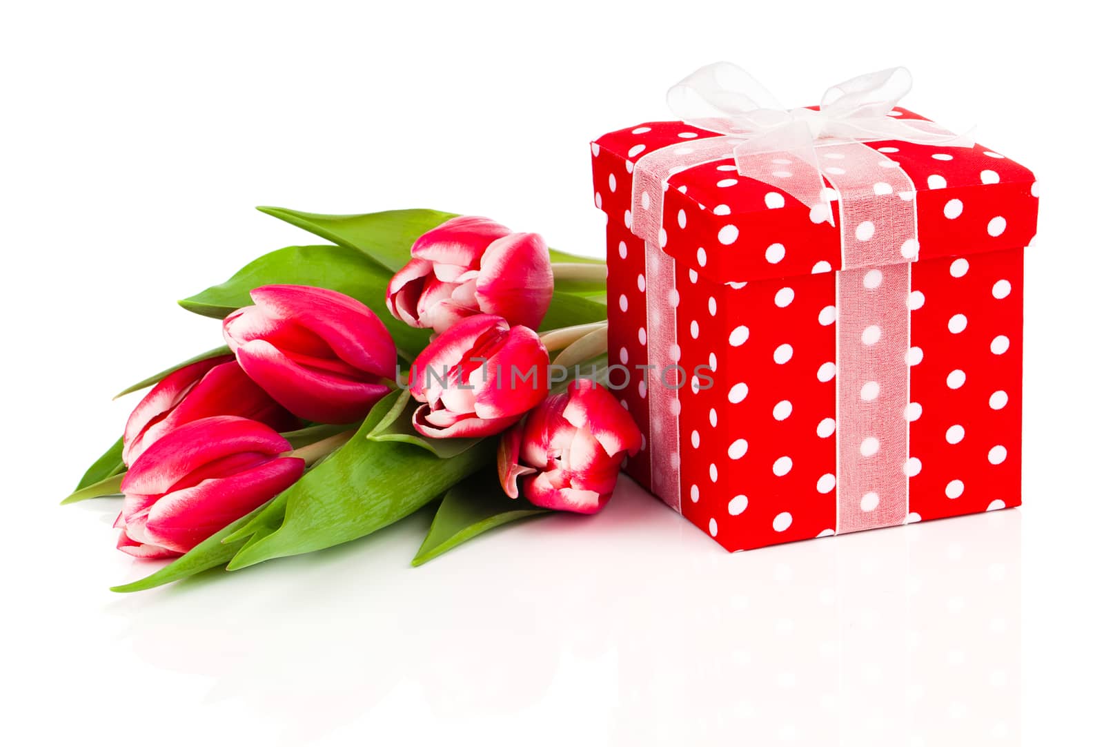 beautiful tulips with red polka-dot gift box. happy mothers day, romantic still life, fresh flowers
