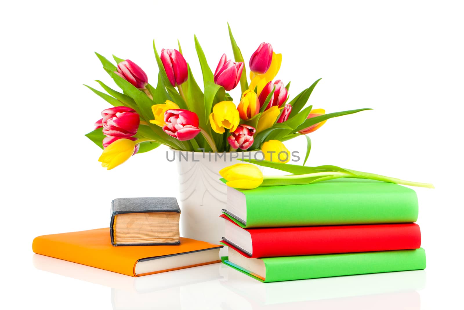 bunch of spring tulips and books, isolated on white background
