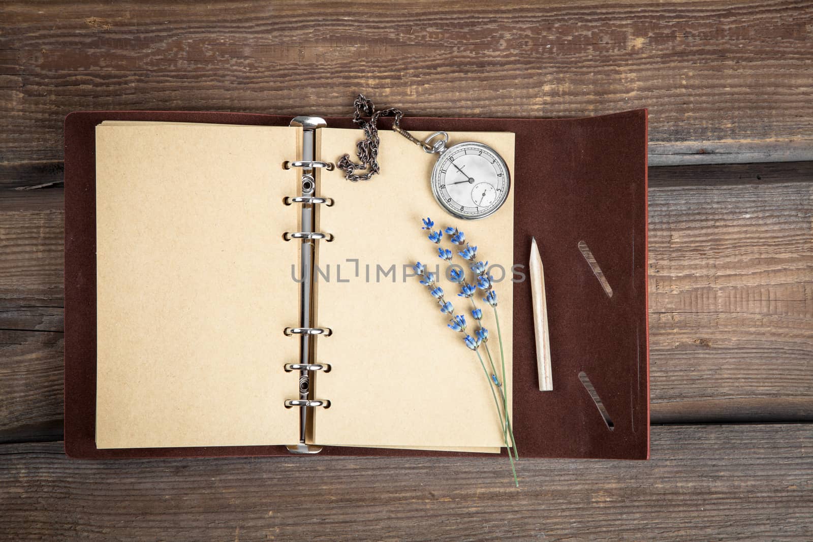 Vintage grunge still life with pocket watch, lavender flower and by motorolka