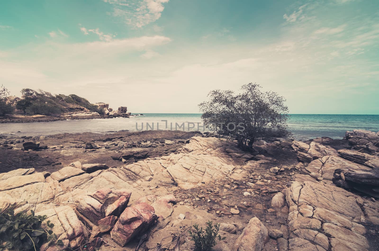Beach tree rock and blue sea in Thailand vintage