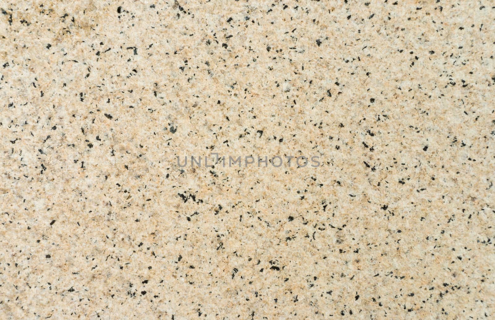 Granite Floor with Small Black Dots Texture