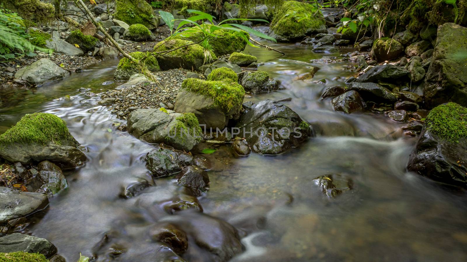 A small creek flowing. Long-exposure, color image.