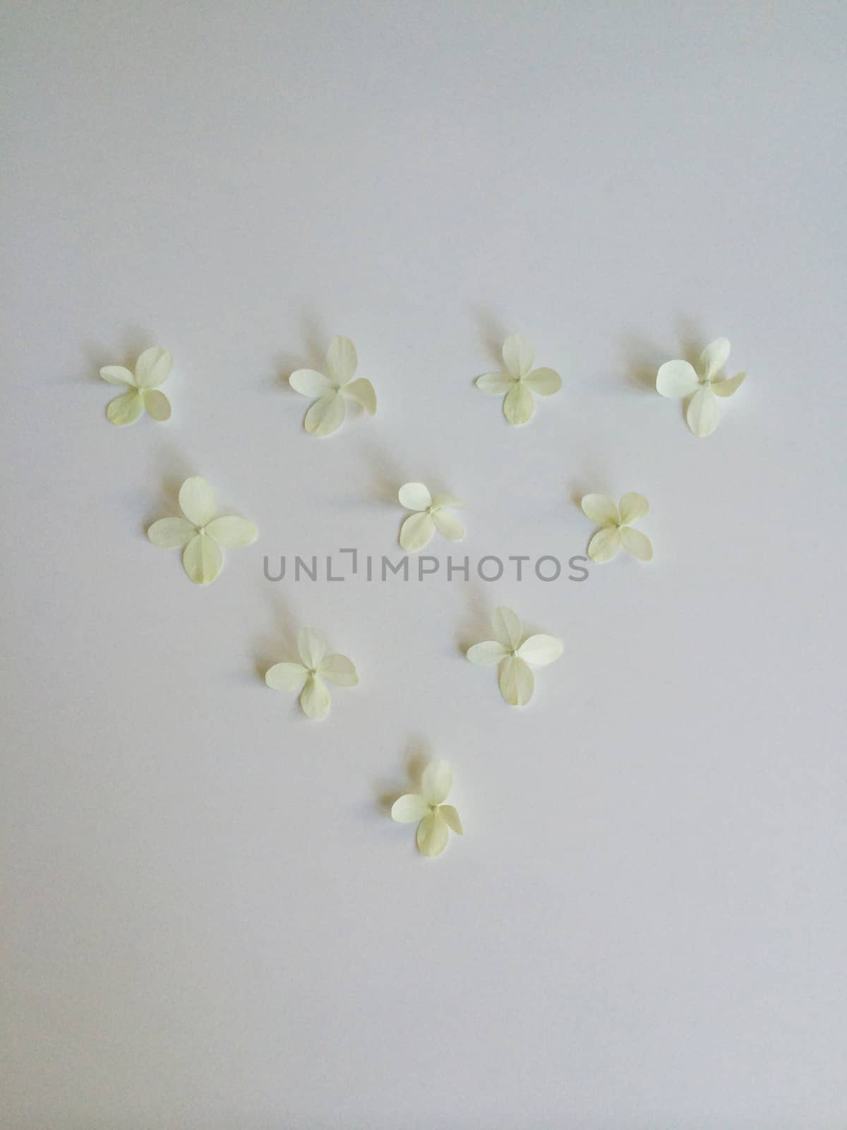 Ten hydrangea flowers laid out in a triangle pattern