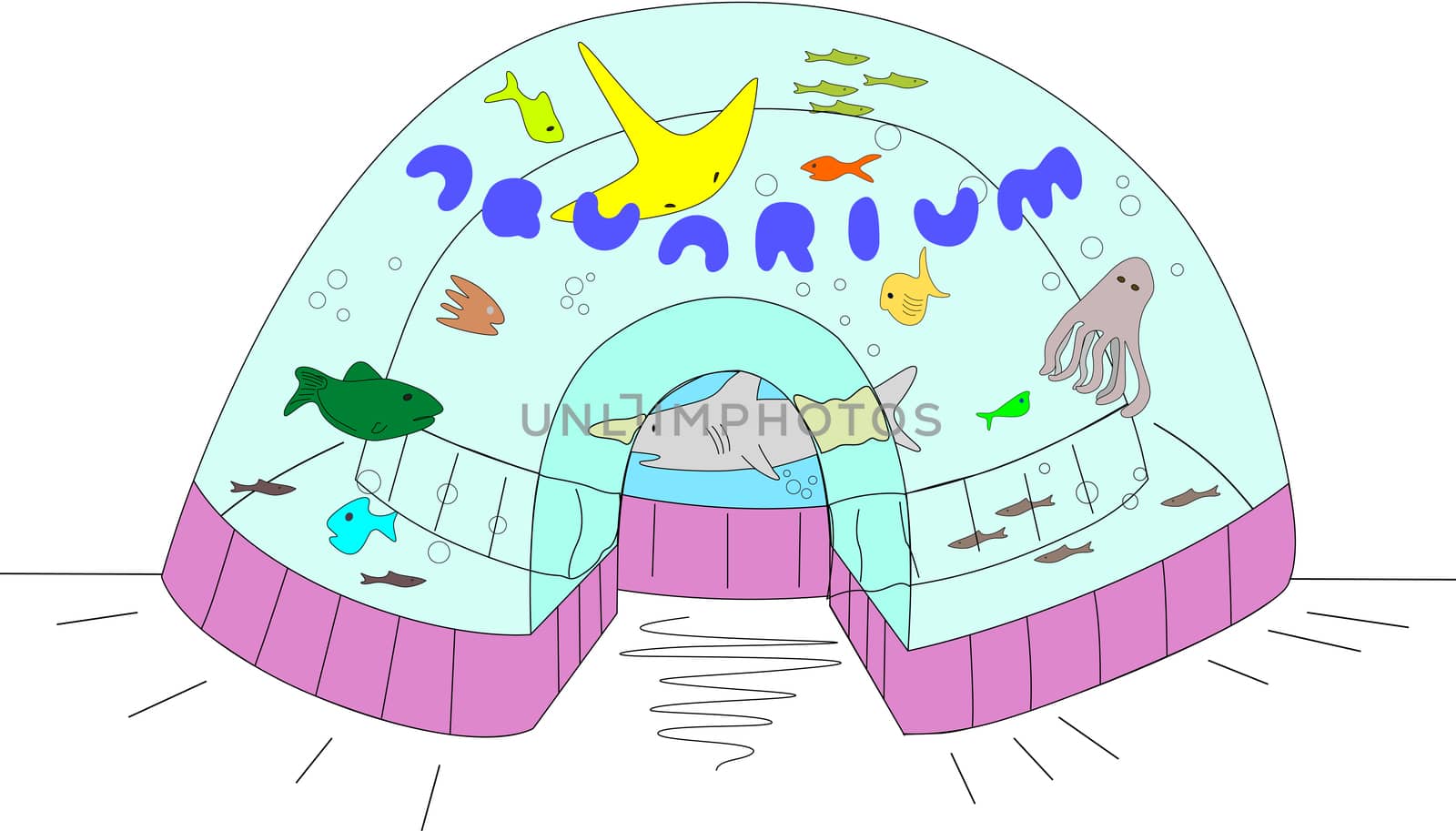 A large oval aquarium full of different aquatic life.