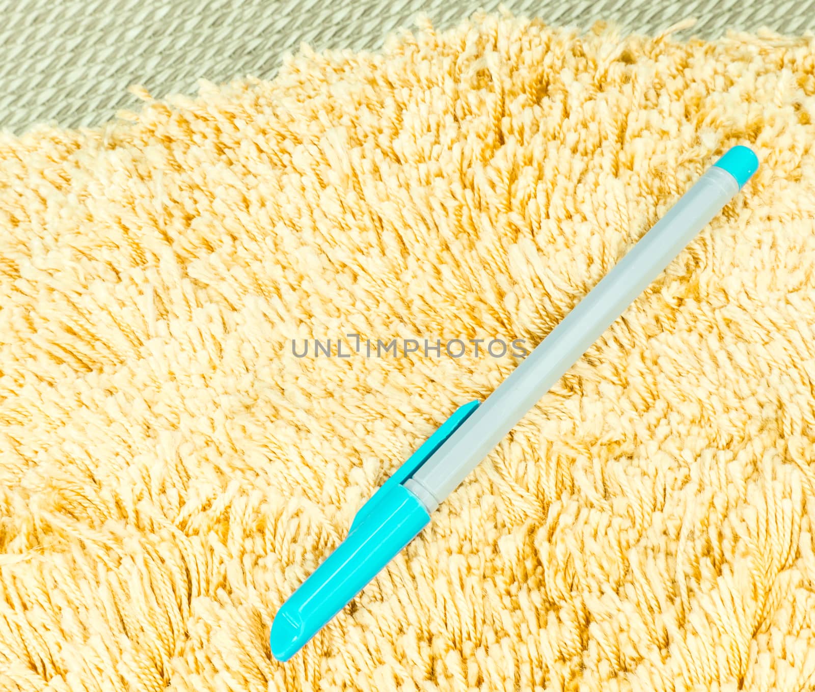 Blue Pen on Orange Hair Fur Carpet on a Mat