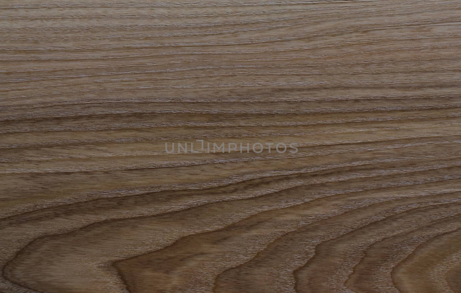 Texture of wood background closeup by DNKSTUDIO