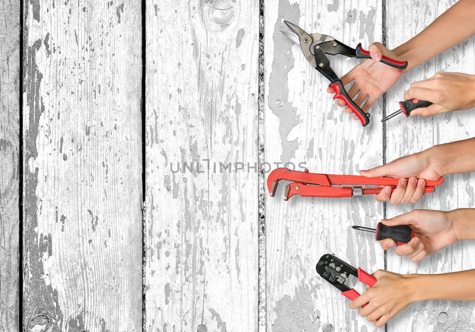 Set of peoples hands holding different tools on old white board texture background