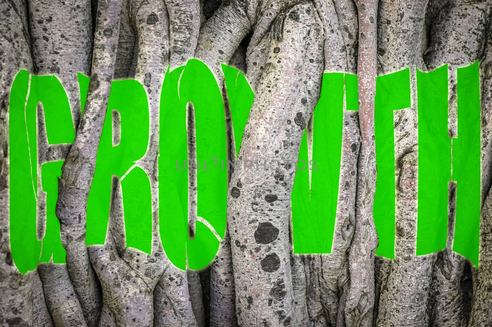 Conceptual Image Of The Word Growth Twisted And Torn Behind The Vines Of A Tree