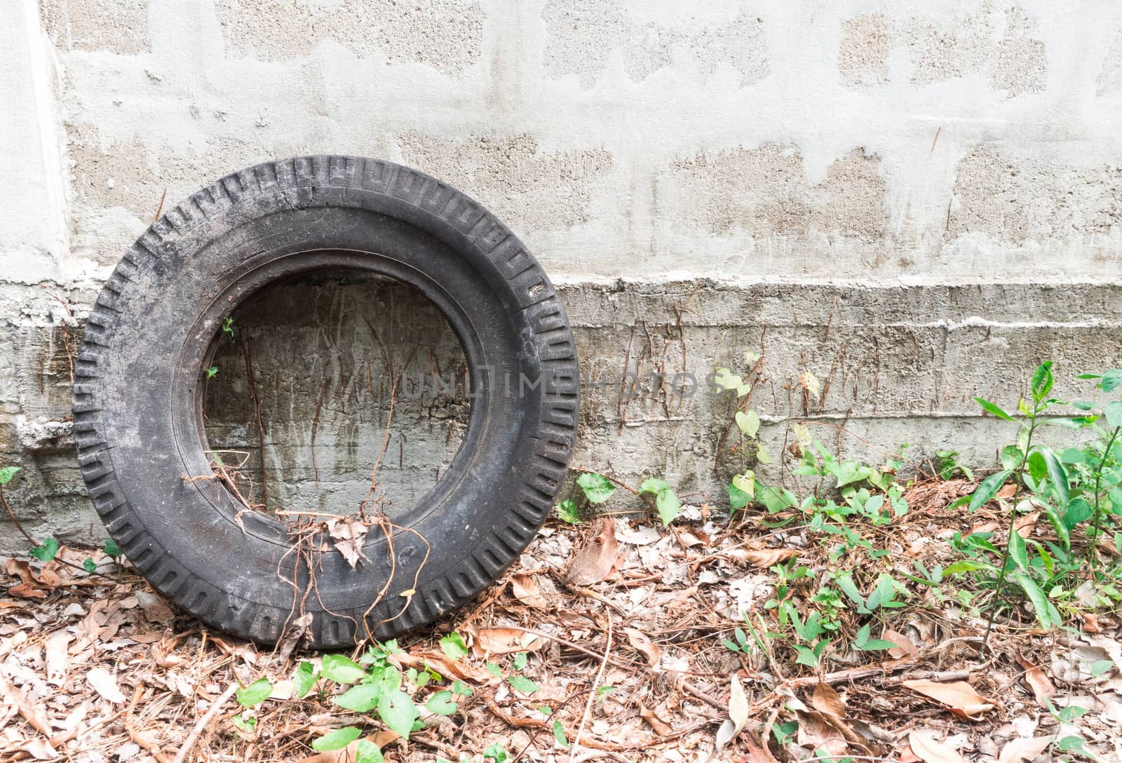 Old Tire Laying on a Wall in the Abandoned Garden