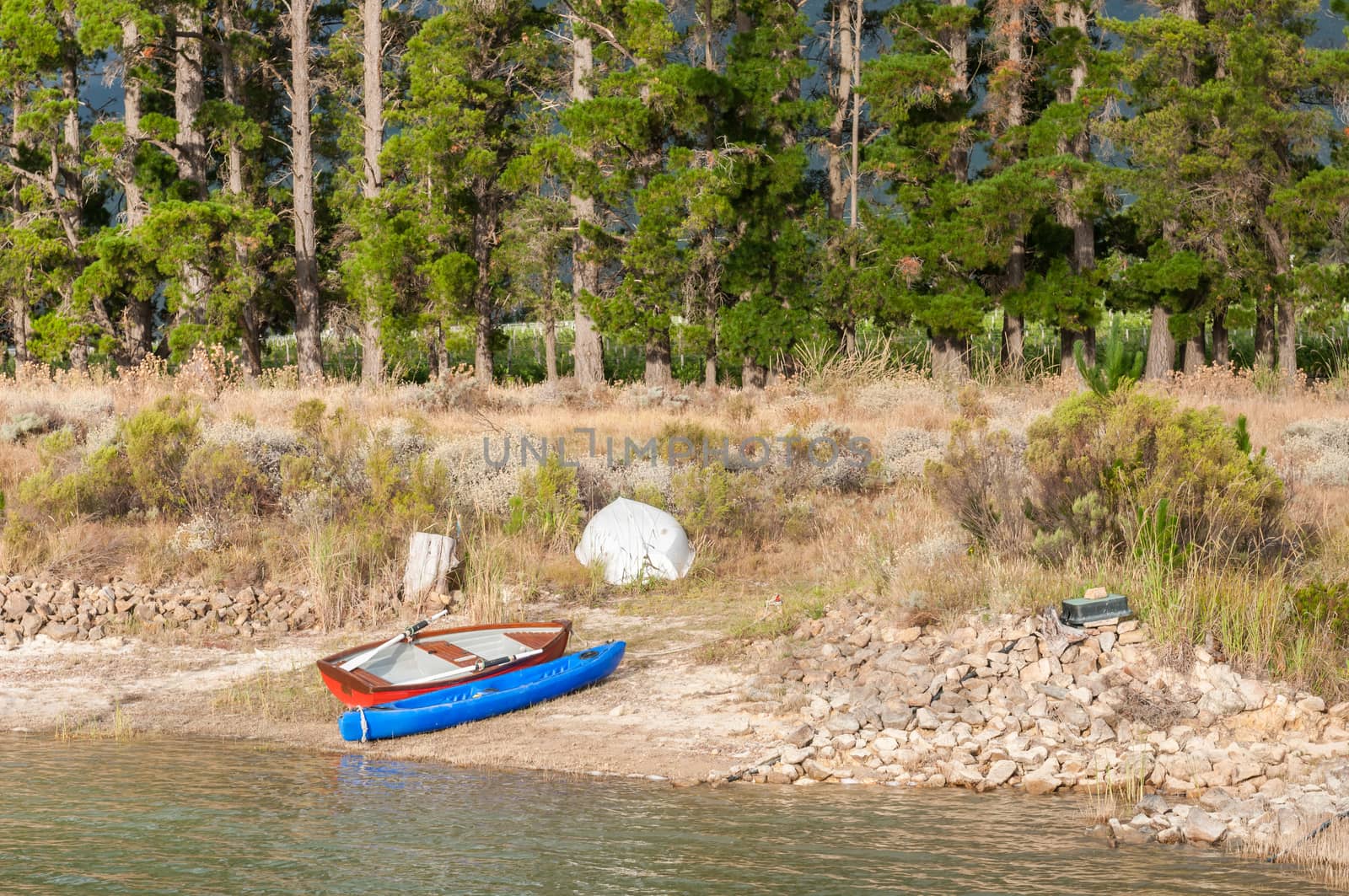 Canoe and rowing boats at a dam near Somerset West in the Western Cape Province of South Africa