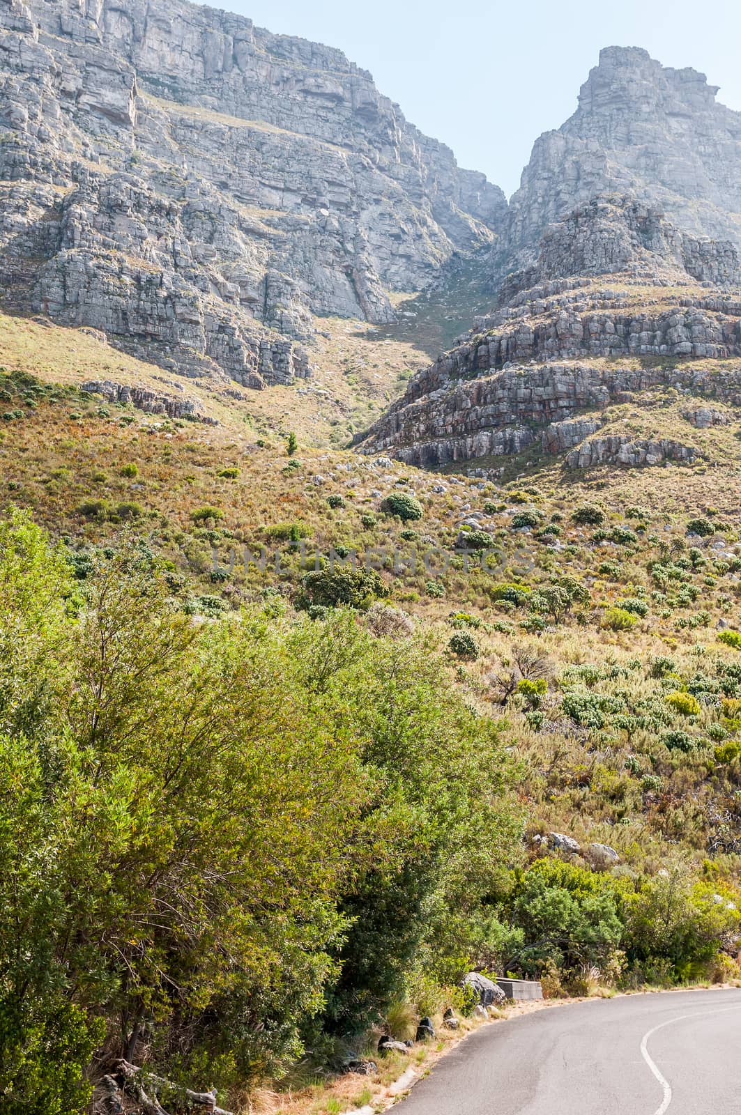 Cape Town: Platteklipkloof (flat stone ravine) is a popular and relatively easy and save ascend of Table Mountain without any steep drop next to the trail