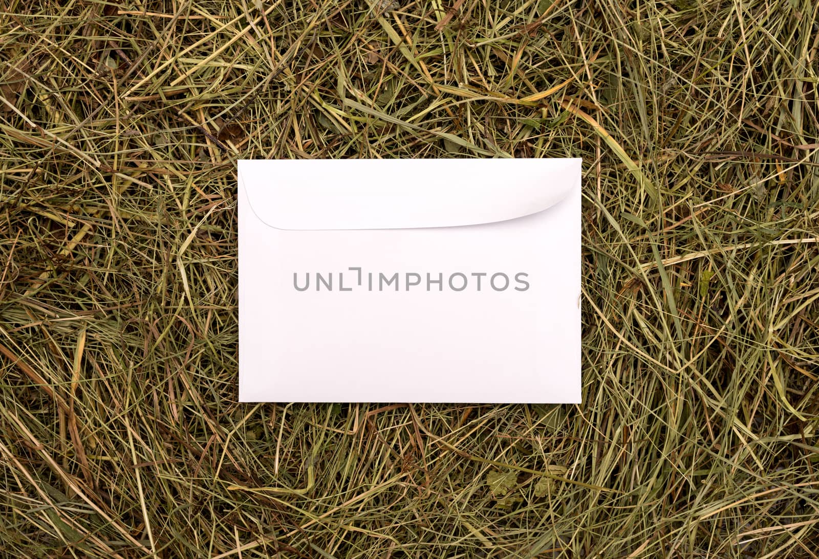 white envelope on a background of hay