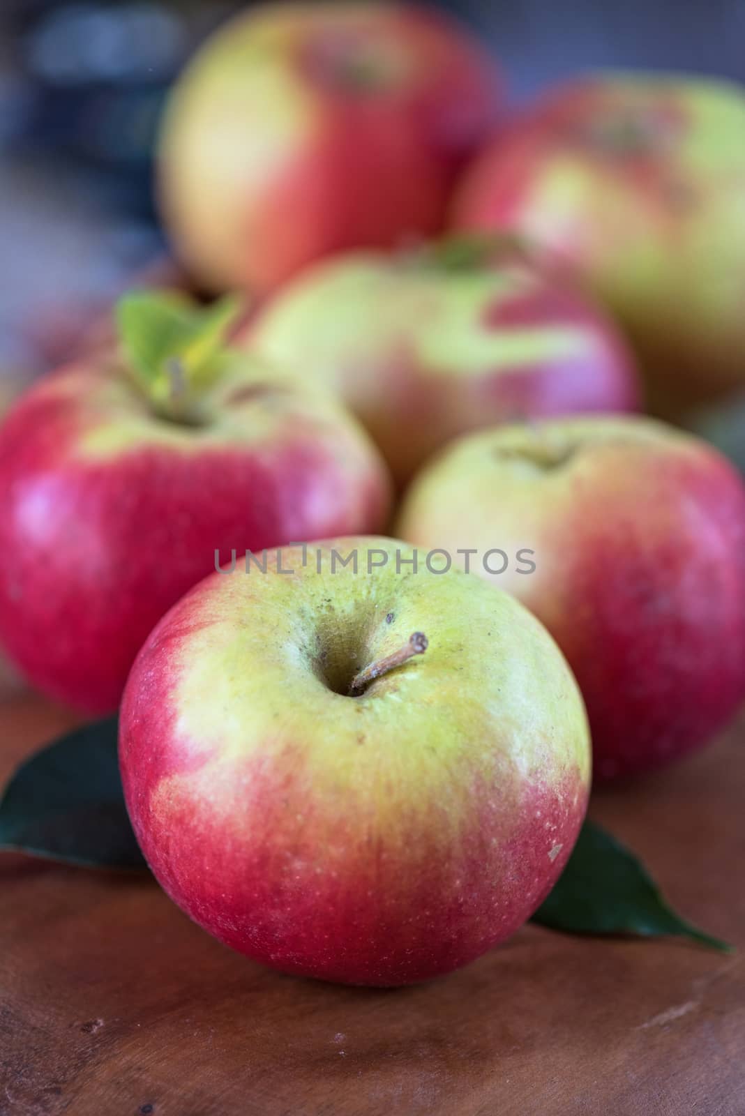 Fresh harvest of ripe apples. Nature fruit concept.