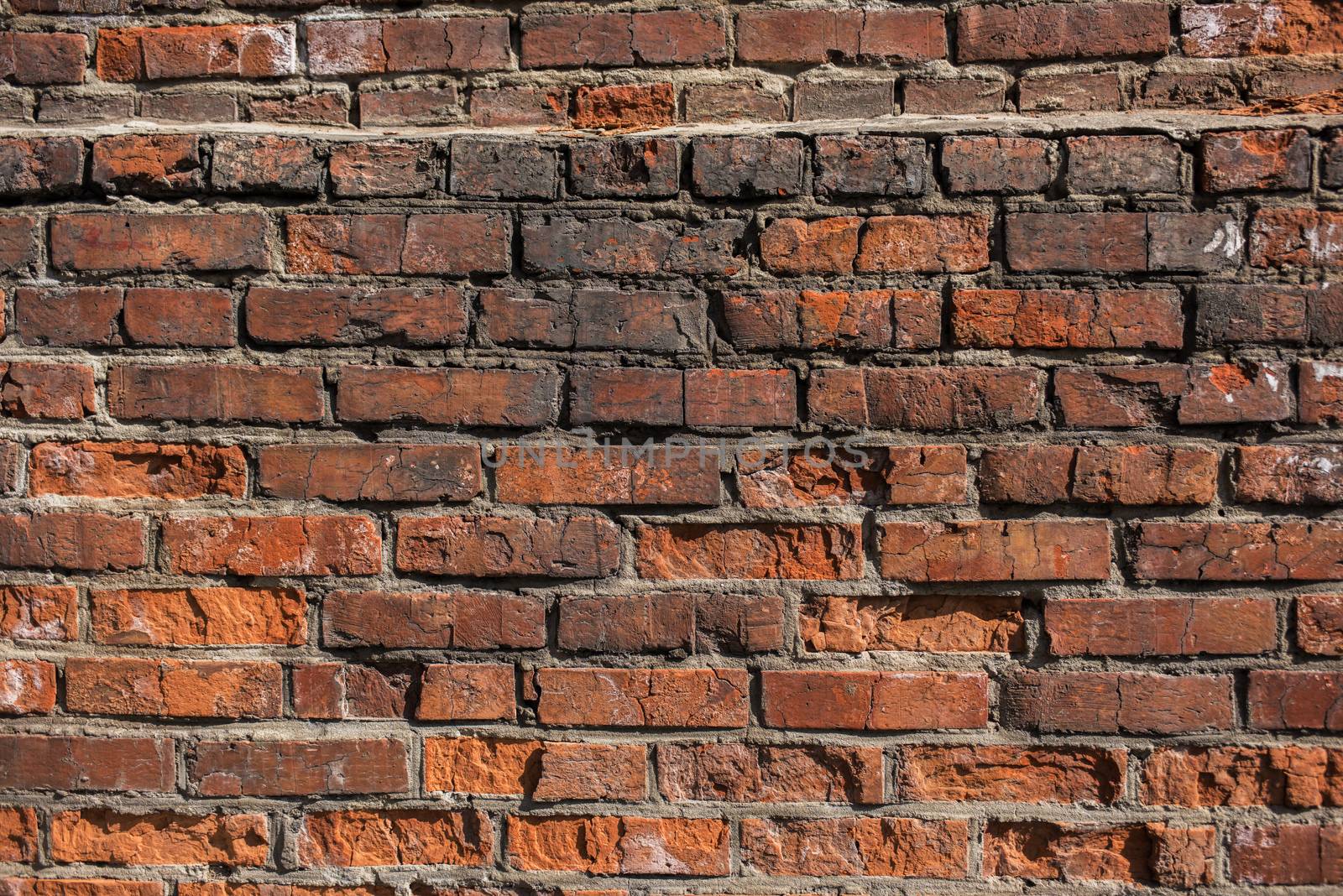 Background of brick wall texture